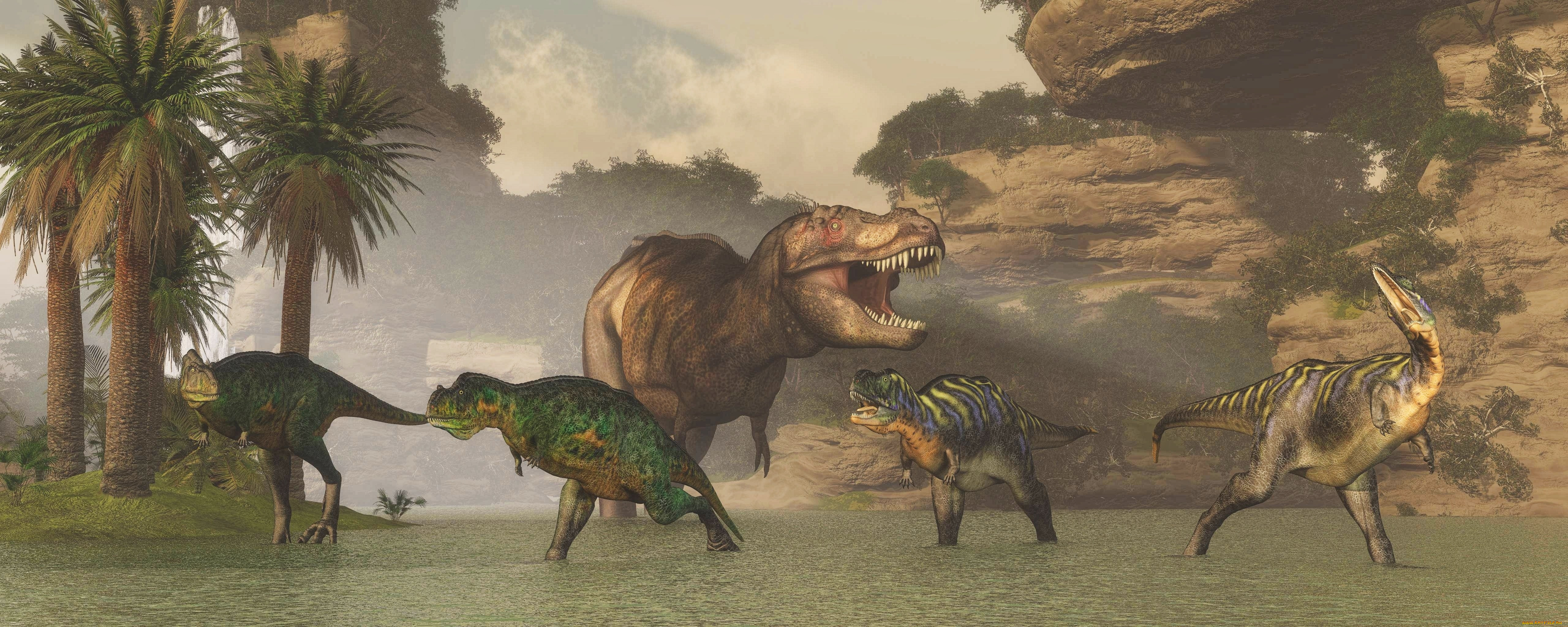 3 ,  , animals, , , 